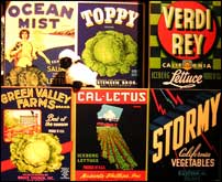 Vege advertisements