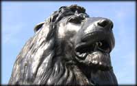 Those British lions!